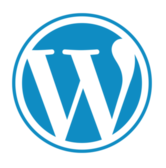 wordpress logo wordpress icon transparent free png e1736151619824